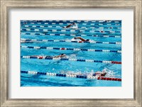 Framed High angle view of people swimming in a swimming pool, International Swimming Hall of Fame, Fort Lauderdale, Florida, USA