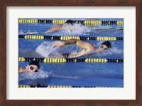 Framed Three swimmers racing in a swimming pool