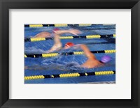 Framed Rear view of three swimmers racing in a swimming pool