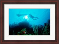 Framed Low angle view of two scuba divers swimming underwater, Belize