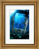 Framed Scuba diver investigating shipwrecks