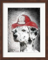 Framed Firefighter Dalmation