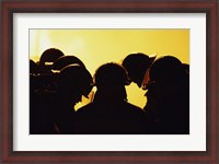 Framed Rear view of a group of firefighters looking down