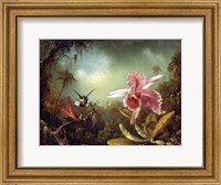 Framed Orchid with Two Hummingbirds 1871