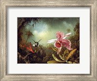 Framed Orchid with Two Hummingbirds 1871