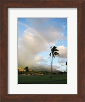 Framed Rainbow in Hawaii