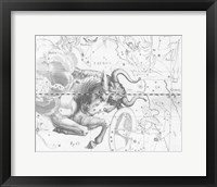 Framed Taurus by Johannes Hevelius