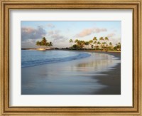 Framed Waikiki Beach And Palm Trees