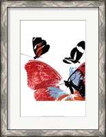 Framed Butterflies Dance IX