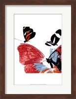Framed Butterflies Dance IX