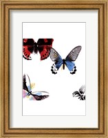 Framed Butterflies Dance I