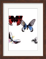 Framed Butterflies Dance I