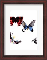 Framed Butterflies Dance I