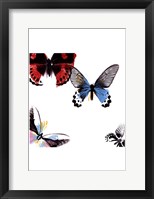Framed Butterflies Dance I