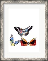 Framed Butterflies Dance II