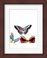 Framed Butterflies Dance II