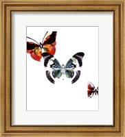 Framed Butterflies Dance III