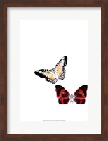 Framed Butterflies Dance V