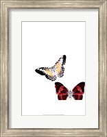 Framed Butterflies Dance V