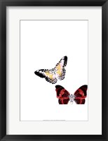 Butterflies Dance V Framed Print