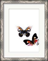 Framed Butterflies Dance VI