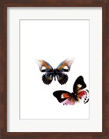 Framed Butterflies Dance VI