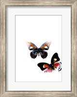 Framed Butterflies Dance VI