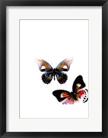 Butterflies Dance VI Framed Print