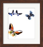 Framed Butterflies Dance VII