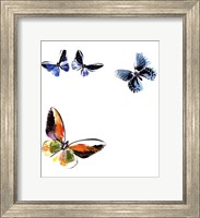 Framed Butterflies Dance VII