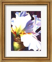 Framed Blue Iris II