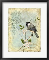 Framed Songbird Sketchbook II