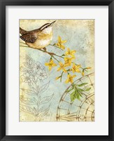Framed Songbird Sketchbook I