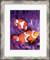 Framed Jeweled Fish I