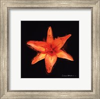 Framed Vibrant Flower VI