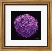 Framed Vibrant Flower I