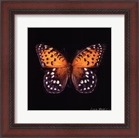 Framed Techno Butterfly IV
