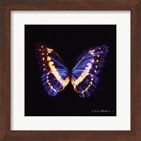 Framed Techno Butterfly II
