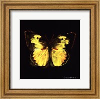 Framed Techno Butterfly I