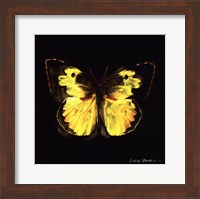 Framed Techno Butterfly I