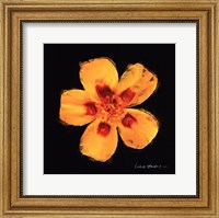 Framed Vibrant Flower X