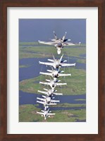Framed FA-18 Hornets