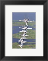 Framed FA-18 Hornets