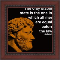 Framed Aristotle Quote