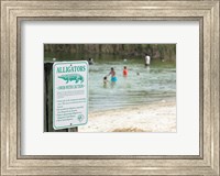 Framed Alligators warning sign at the lakeside, Florida, USA