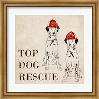 Framed Top Dog Rescue