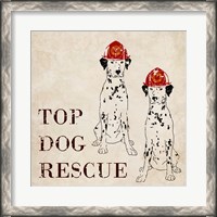 Framed Top Dog Rescue