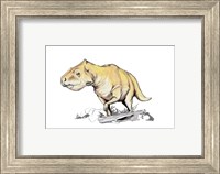 Framed Prenoceratops