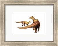Framed Nipponosaurus