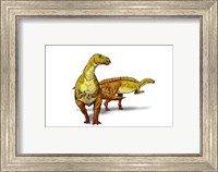 Framed Nanyangosaurus